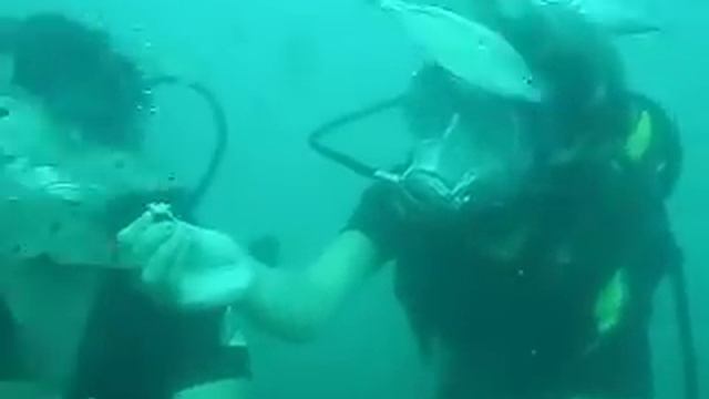под водой на черном море смотреть онлайн
