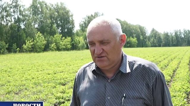 ООО "СХП "Чишминский плодоовощной питомник" смотреть онлайн