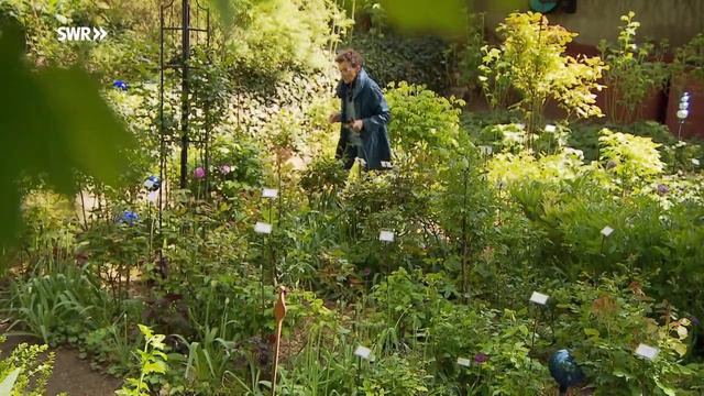 Traum-Garten nach dem Vorbild der Hildegard von Bingen смотреть онлайн