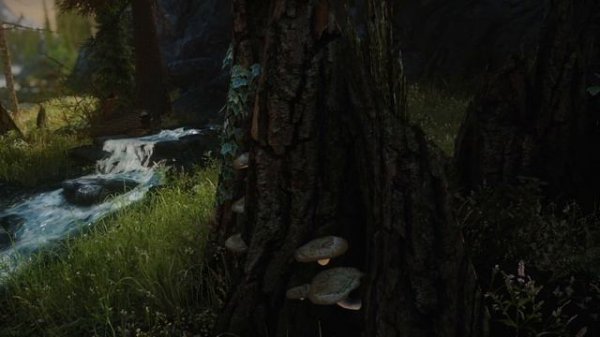 SKYRIM 2020 With Parallax by Pfuscher - AMBIENT OF TAMRIEL