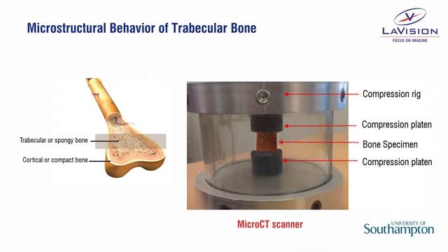 DVC – Mechanical behavior of biomaterials смотреть онлайн