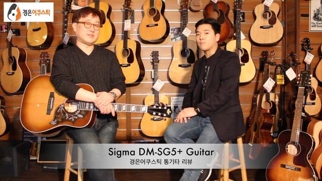 [시그마기타] 시그마 DM-SG5+ 기타 리뷰 (Sigma DM-SG5+ Guitar Review) смотреть онлайн