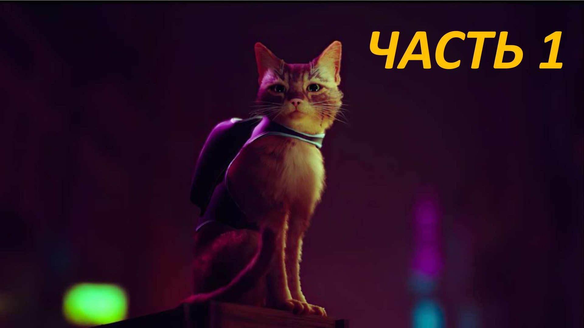 STRAY ПРИКЛЮЧЕНИЯ КОТИКА - ЧАСТЬ 1 МЁРТВЫЙ ГОРОД