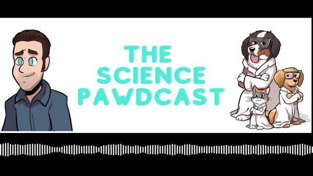 Season 4 Episode 19: Breaking down chemicals, dogs and Crohn's disease and Dr. Basir on Brain Injur смотреть онлайн