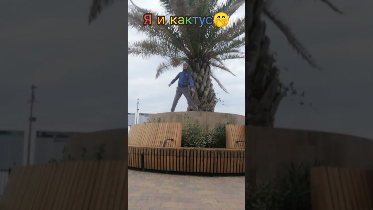 Я и кактус Как ваши дела?❤️ Ходим в школу, грызём гранит науки?) #dance #лето #осень2024 #школа смотреть онлайн