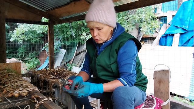 Рассказала всё как есть// Откуда такие уверенные// смотреть онлайн