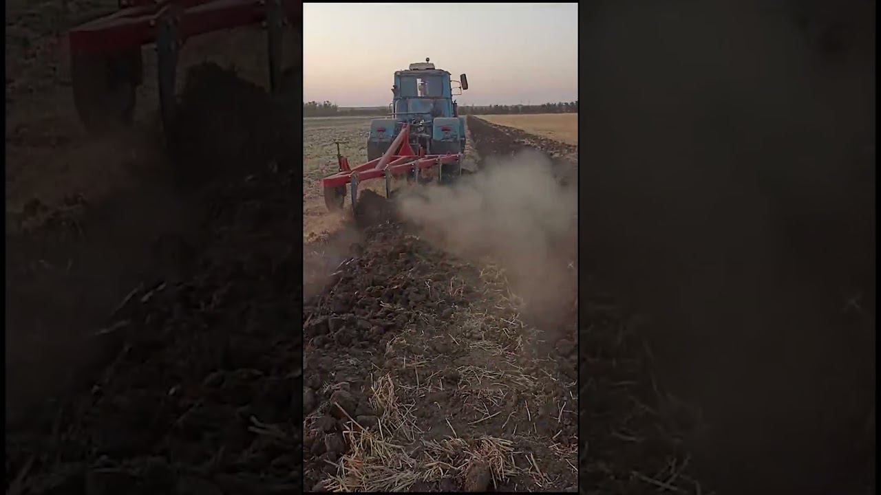 Плуг ПС-5/35 и Т-150 пашут по жаре в Темрюкском районе! #ипсергиенко #farming #трактор смотреть онлайн