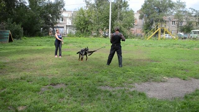 2- Босерон Исгаард Азур (5 мес): обучение в защитном резделе, день 2-ой смотреть онлайн