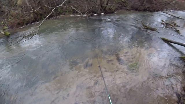 ЛОВЛЯ ФОРЕЛИ В ЛЕНИНГРАДСКОЙ ОБЛАСТИ ОСЕНЬЮ #11 смотреть онлайн