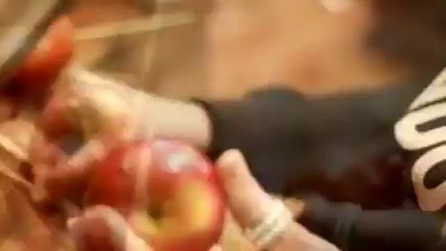 Яблочное оформление от Вистерия дизайн смотреть онлайн