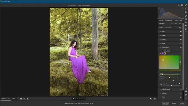 Novità di Camera Raw 16.0 e LR: Finestre modificate, Mixer colori rinnovato, Sfocatura obiettivo. смотреть онлайн