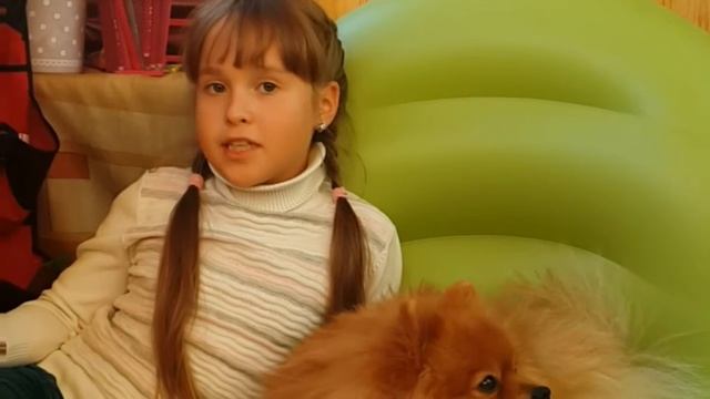Как завести питомца и ухаживать за ним смотреть онлайн