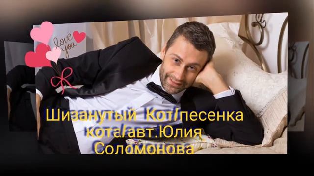 Шизанутый Кот