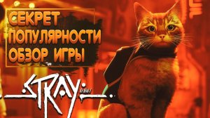 Секрет популярности Stray. Обзор игры.