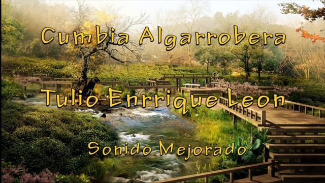 CUMBIA ALGARROBERA - TULIO ENRRIQUE LEÓN смотреть онлайн