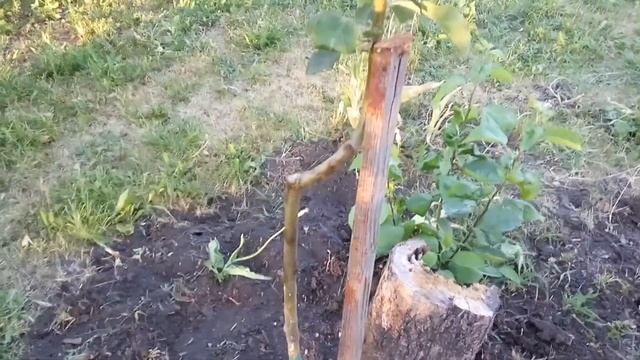 Строительные Совпадения