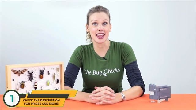 Best LCD Microscopes 2019 - LCD Microscope Review смотреть онлайн