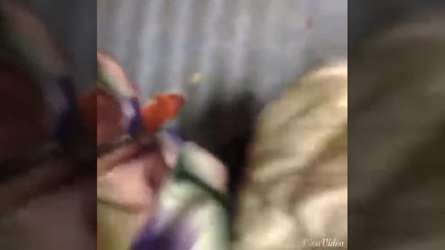 Случай с нами в лифте )) смотреть онлайн