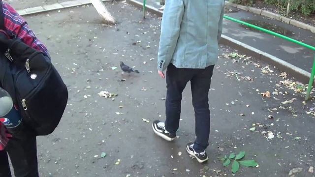 Как поймать голубя за 15 СЕКУНД! смотреть онлайн