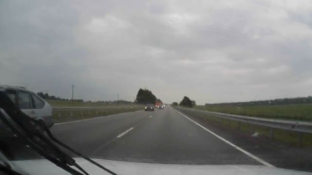 Олени на трассе Черняховск-Калининград. смотреть онлайн