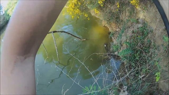 Comment pêcher la carpe à vue смотреть онлайн