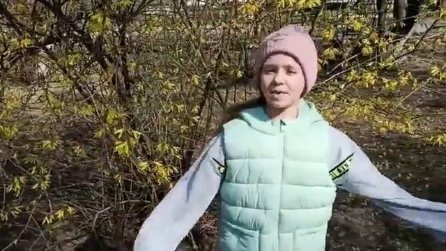 Стихотворение "Пришла весна" Клейменова Владислава смотреть онлайн