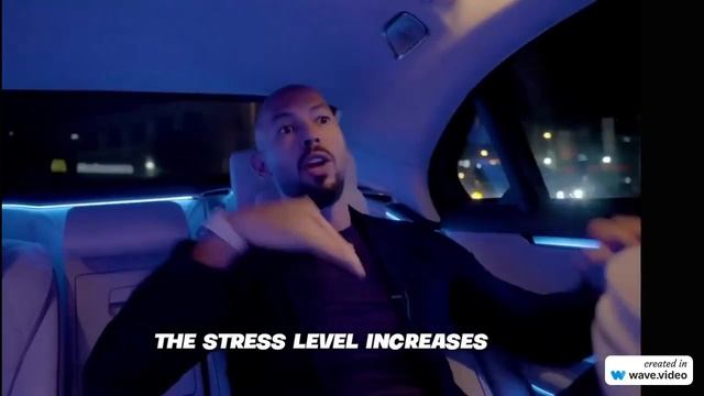 Andrew Tate’s teaching delaing with stress смотреть онлайн