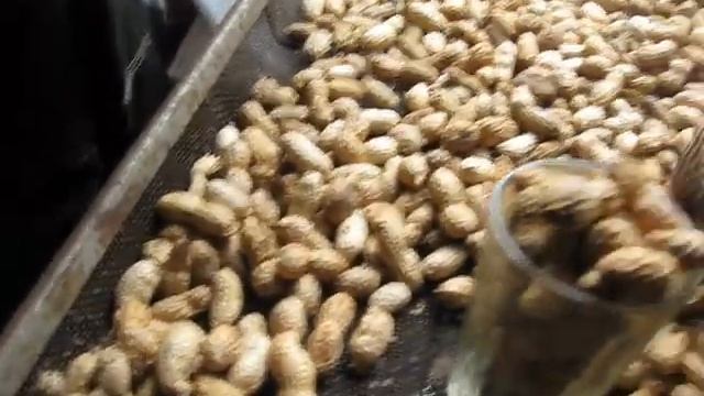 Семена арахиса для продажи смотреть онлайн