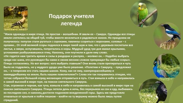 Самопознание 3 класс урок 31 Тема: Земля наш общий дом смотреть онлайн