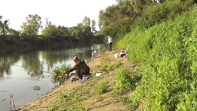 КАК ЛОВИТЬ ЛЕЩА НА ФИДЕР РЫБАЛКА ЛЕТОМ ТОБОЛ РЕКА смотреть онлайн