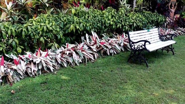 Your Dream House!most Beautiful Home @SandipOrchid #beautifulhouse #dreamhome