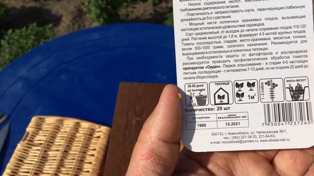 Томат от агрофирмы Сибирский Сад. Сорт ЗОЛОЧЕНЫЙ БЕЛЯШ смотреть онлайн