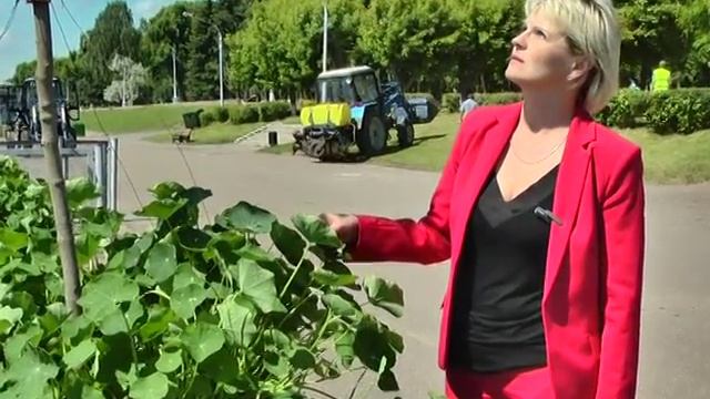 К Дню города в Твери заканчиваются работы по благоустройству сразу на нескольких объектах смотреть онлайн