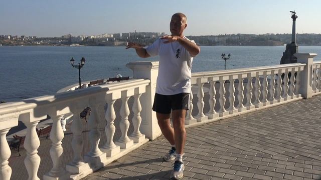 ШКОЛА ИЦЮАНЬ-29  / Yiquan School / Цзоубу Кайхэ и Пинтуй Шили - базовые Шили с шагами