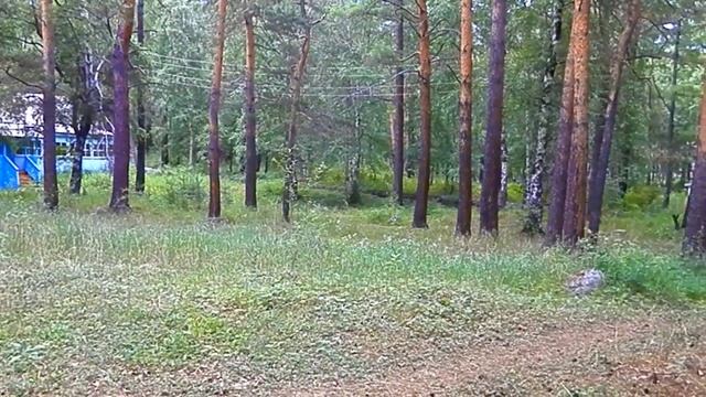 ТУНКИНСКАЯ ДОЛИНА . РОК ГРУППА . СТАРЫЙ ПАРК . АРШАН. смотреть онлайн