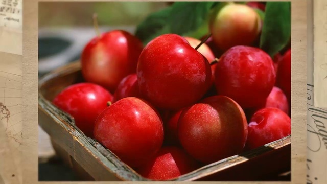 Красота и здоровье Необходимые витамины для красоты и здоровья. Часть 8 смотреть онлайн