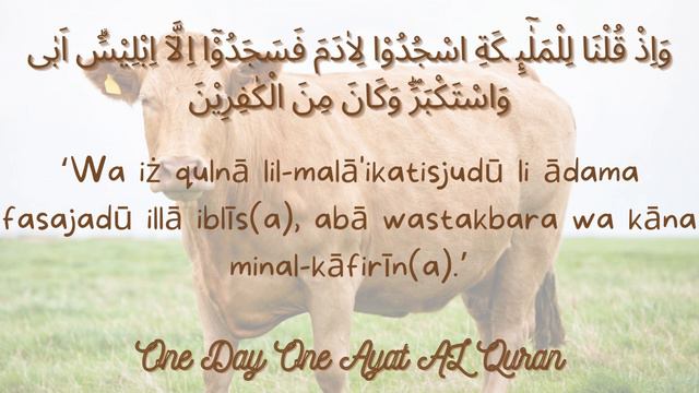 AL Baqarah, Ayat 34, One Day One Ayat Al Quran #alquran #hapalan #albaqarah смотреть онлайн