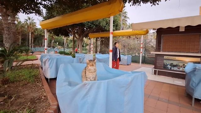 АЛАНЬЯ ТУРЦИЯ КАК ВАМ ТАКИЕ НОВОСТИ?