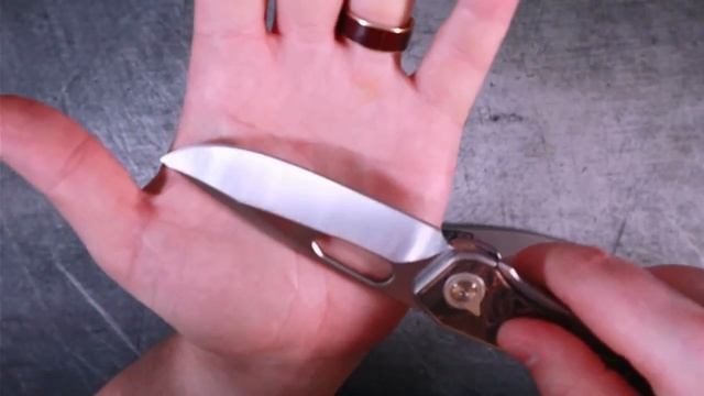 Knife Enthusiasts WILL LOVE the Caelum Blades Ari-Full Review смотреть онлайн