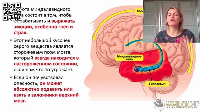 УРОК 2 - КАК РАЗВИВАЕТСЯ МОЗГ РЕБЕНКА смотреть онлайн