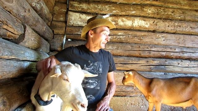 Новый козел смотреть онлайн