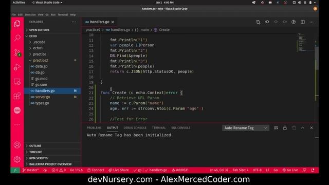 AM Coder - Golang - using the Gorm ORM with Echo Web Framework смотреть онлайн
