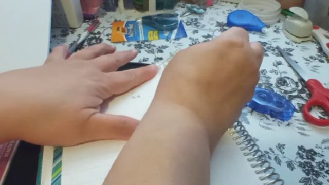 Erin Condren Daily Duo / May 3, 2021 / Craft Smart Boho Sticker Book / Daily Planning смотреть онлайн