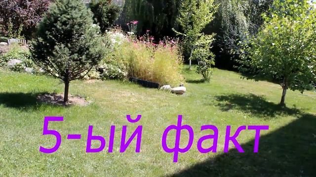 10 ФАКТОВ О МОЕМ ТЕЛЕ смотреть онлайн