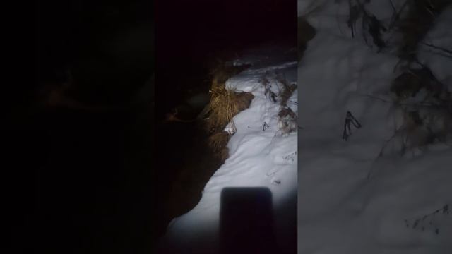 5 января 2022 г. РОЖДЕСТВЕНСКИЕ МОРЖЕВАНИЯ НОЧЬЮ ЗИМОЙ КАК СОГРЕТЬСЯ В ЛЕСУ смотреть онлайн