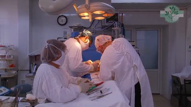 Врачи краевой больницы делятся опытом с коллегами смотреть онлайн
