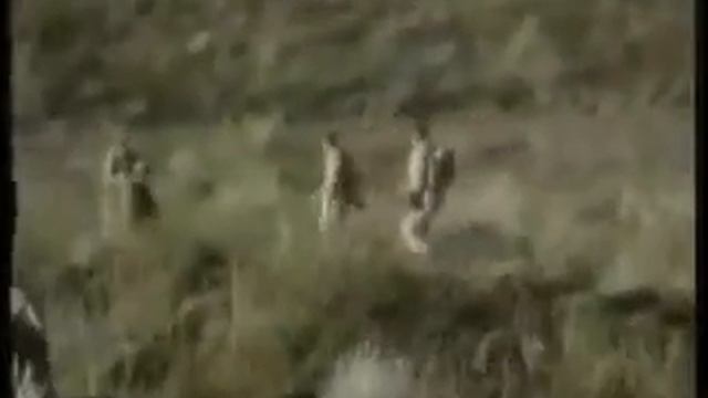 Любительское видео Афганистан смотреть онлайн