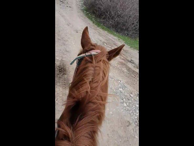 #крым #путешествия смотреть онлайн