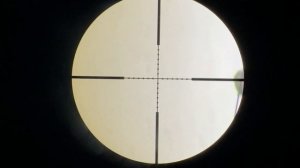 Отстрел Ворон и Бакланов с  пневматики Crow Hunting 2022. Кроухантинг. Июнь ч.1 Охота на ворону