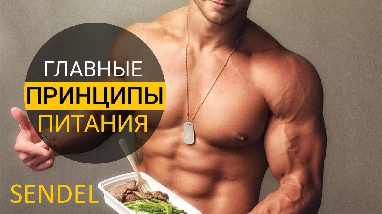 ГЛАВНЫЕ ПРИНЦИПЫ ПИТАНИЯ ДЛЯ РОСТА МЫШЦ. смотреть онлайн
